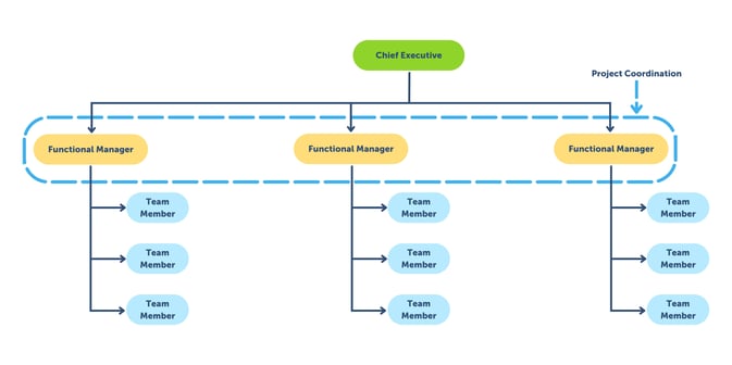 Project Management Organization - Structure and Chart