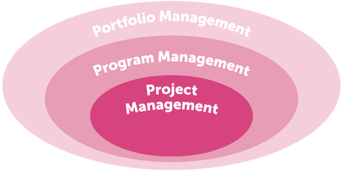 Organizational Project Management