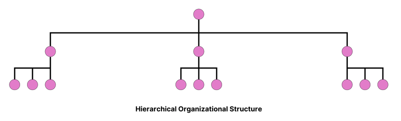 Hierarchical Organizational Structure (1)