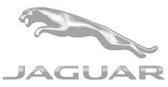 Jaguar-(1)