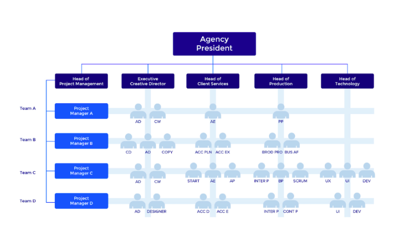 Matrix Organizational Structure in Project Management– A Complete Guide ...