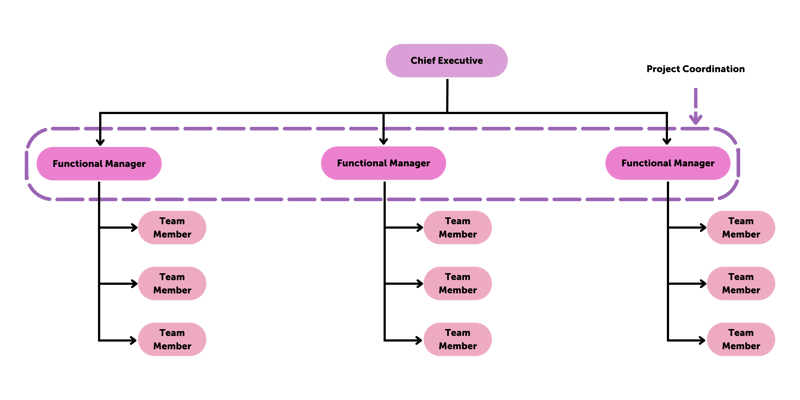 Project Management Structure