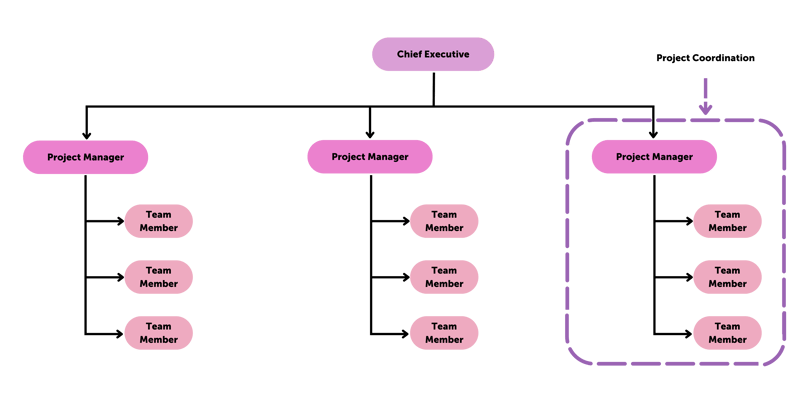 Project Management Structure