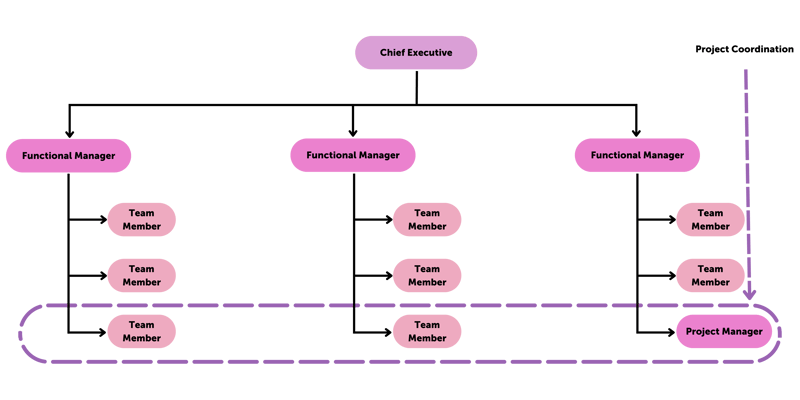 Project Management Structure