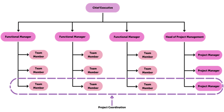 Project Organization Chart: The Complete Guide + Free Templates