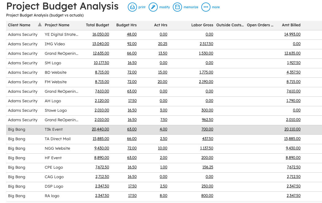 Project Budget Analysis Breakdown: Budget vs Actuals