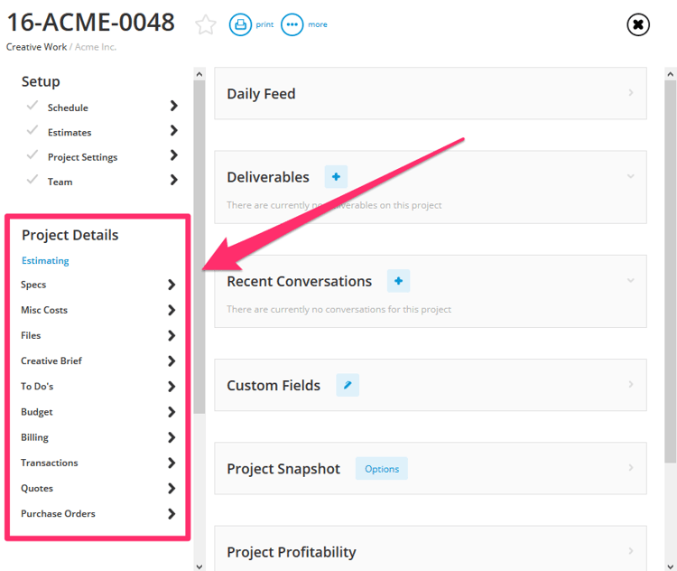Project Details: Estimating Template example