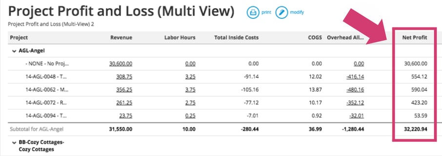 Project Profit and Loss