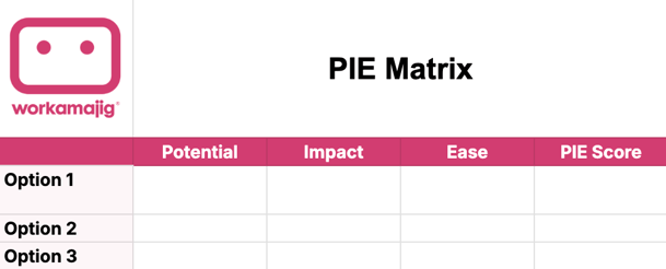 PIE Matrix Template screenshot