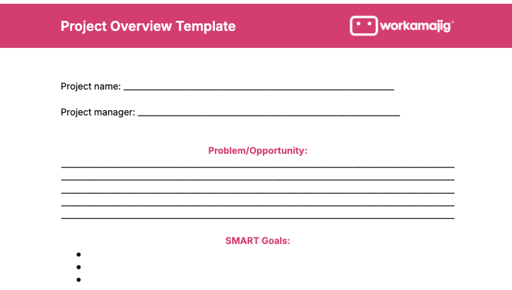 Project Overview Template screenshot