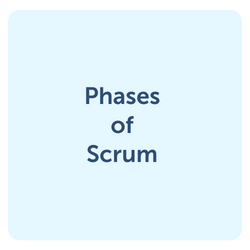 phases of scrum