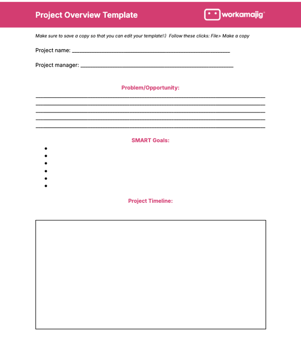 project overview template