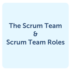 scrum team