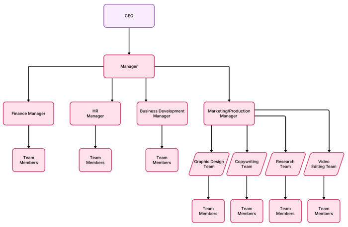 functional organizational structure