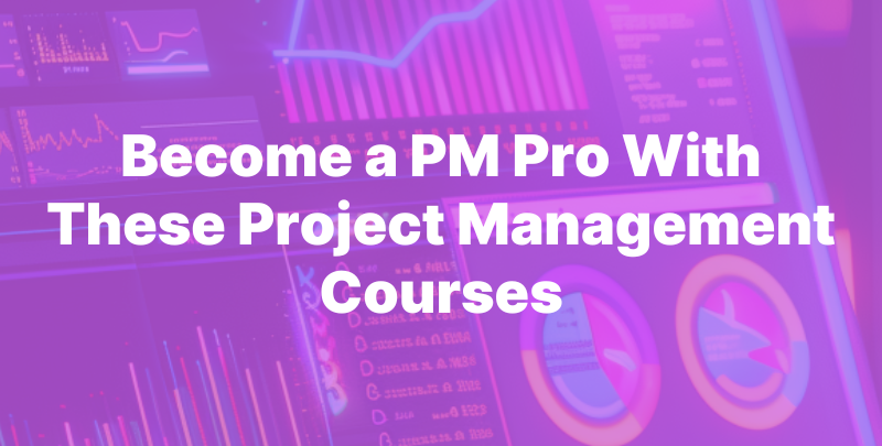 Become a PM Pro With These Project Management Courses
