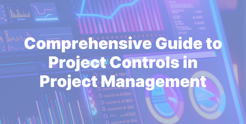 Comprehensive Guide to Project Controls in Project Management